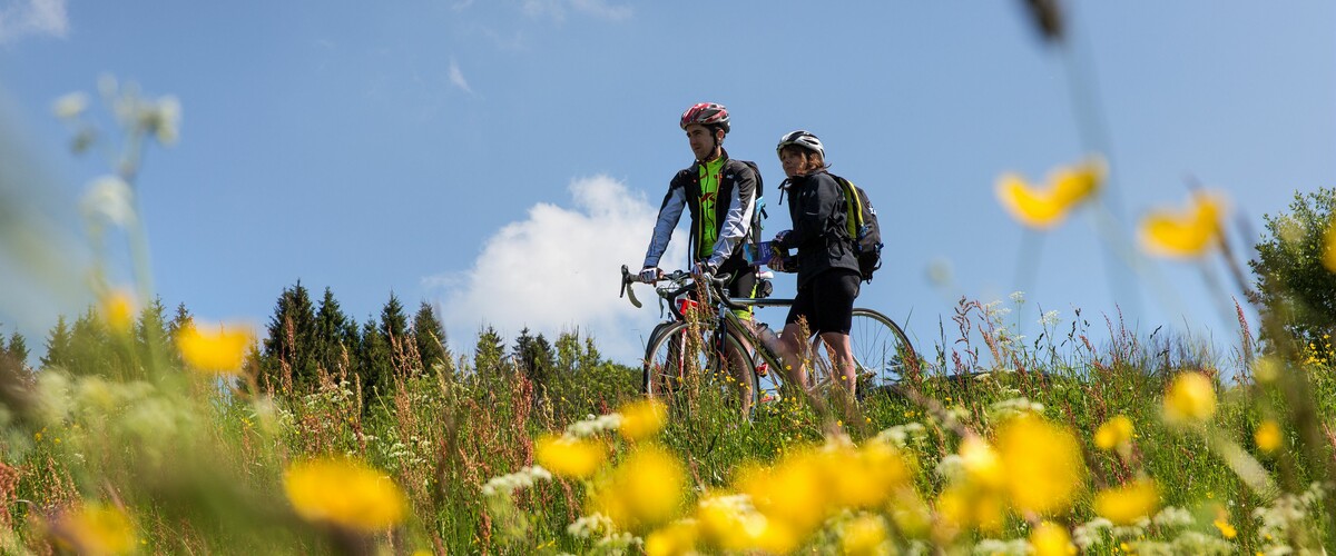 Le Col de la Faucille