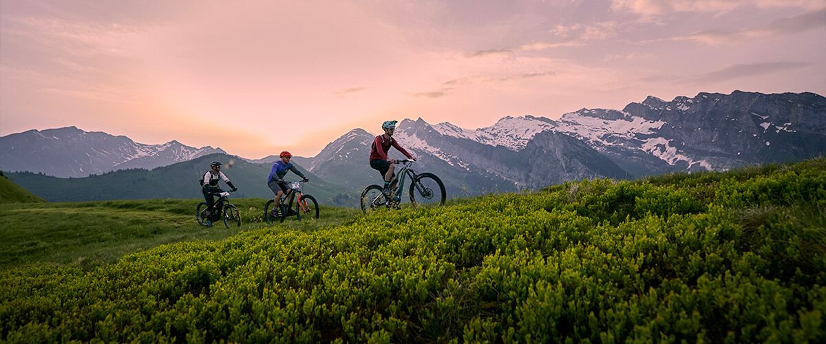 Vélo Vert Festival