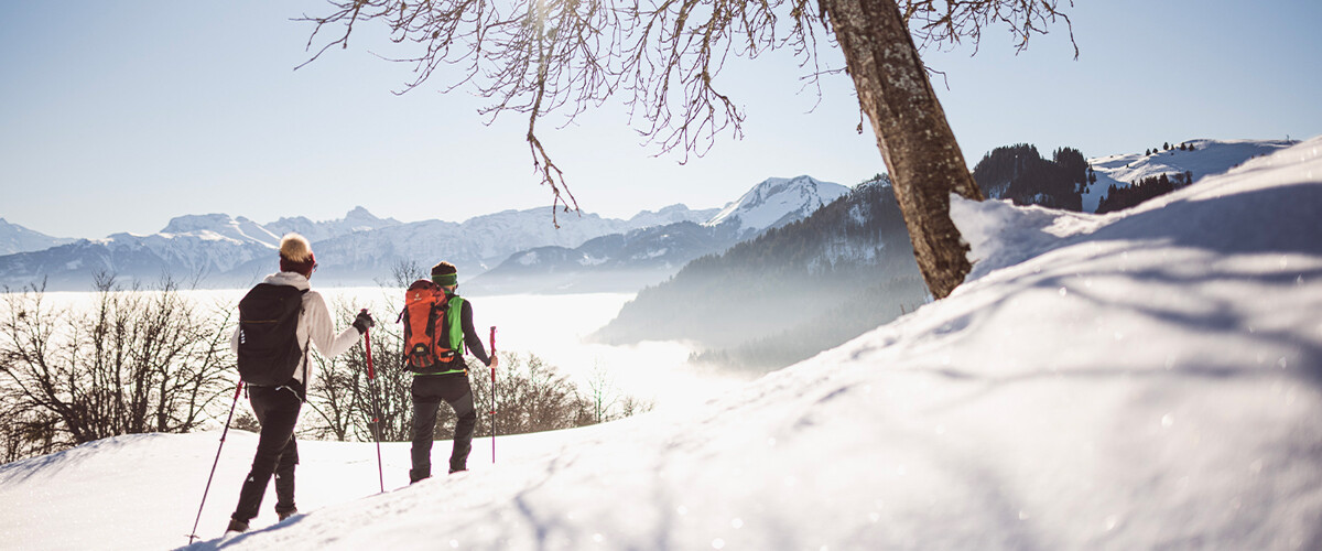 Môle & Brasses : Plaine Joux, un plateau merveilleux pour le ski nordique