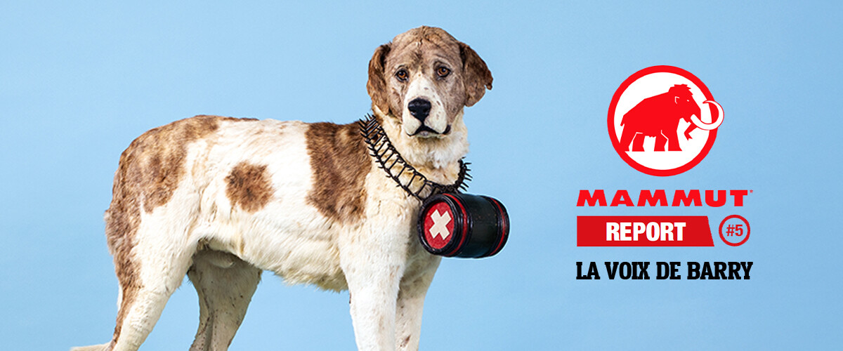 Barry, le chien du Saint-Bernard qui a donné son nom au Barryvox