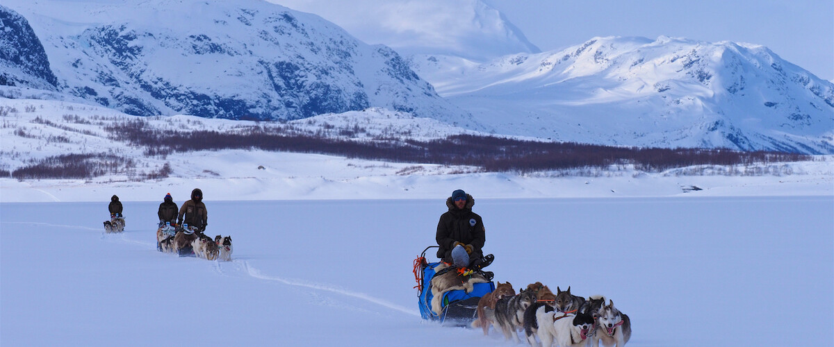 KIRUNA DOGS