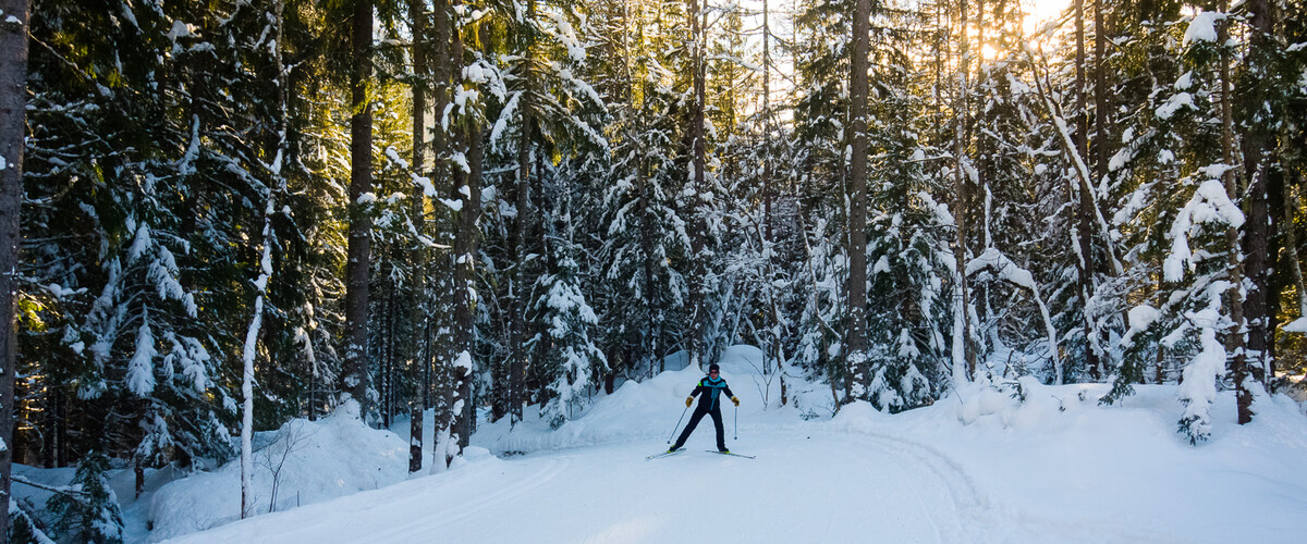 LA HAUTE-SAVOIE, TERRE DE SKI  DE FOND