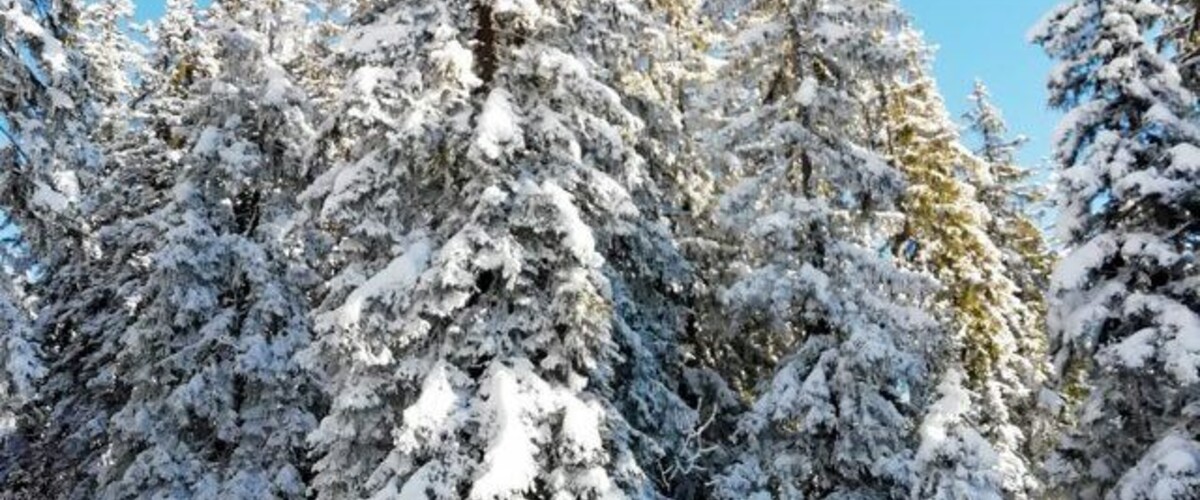 Passy Plaine-Joux, ressourcez-vous en pleine nature.