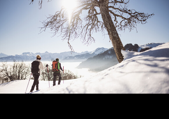 Môle & Brasses : Plaine Joux, un plateau merveilleux pour le ski nordique