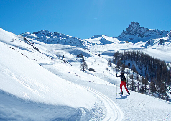 Vis des expériences uniques dans les Hautes-Alpes