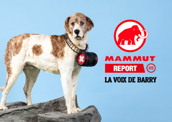 Barry, le chien du Saint-Bernard qui a donné son nom au Barryvox
