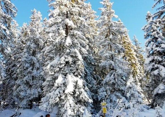 Passy Plaine-Joux, ressourcez-vous en pleine nature.