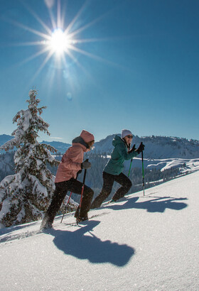 TSL : les raquettes à l'échelle des montagnes