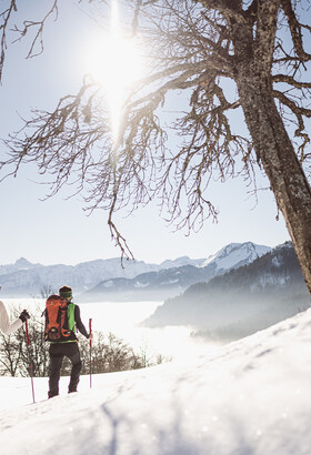 Môle & Brasses : Plaine Joux, un plateau merveilleux pour le ski nordique