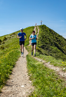 Où pratiquer le trail en Haute-Savoie ?... Le domaine Môle & Brasses !