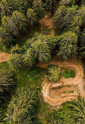 "Shapé pour les riders", l'Avoriaz Bike Park des Portes du Soleil cartonne