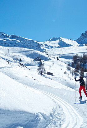 Vis des expériences uniques dans les Hautes-Alpes