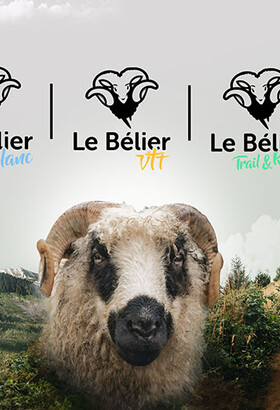 Le Bélier blanc, le Bélier VTT, le Bélier Trail & Rando, la Trilogie du bélier :  l’animal à 3 cornes