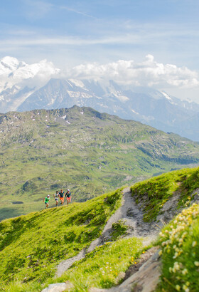 Le Tour des Fiz