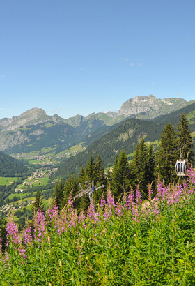 Châtel