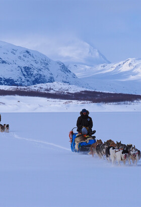 KIRUNA DOGS