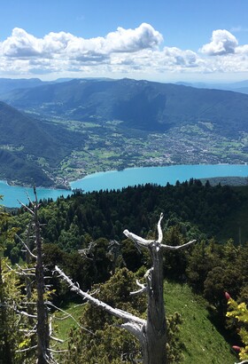 LA POINTE DE TALAMARCHE par Montremont