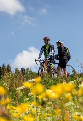 Le Col de la Faucille