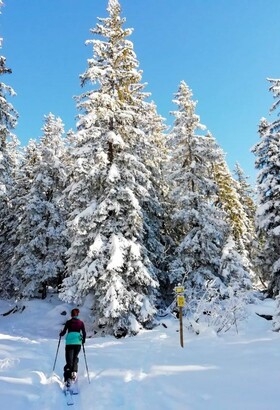 Passy Plaine-Joux, ressourcez-vous en pleine nature.