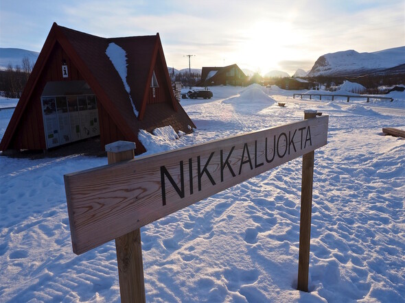 KIRUNA DOGS