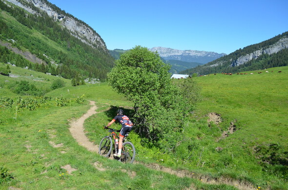 ALPS BIKE FESTIVAL