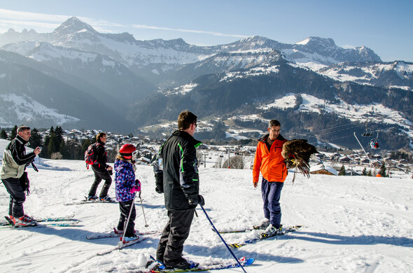 Festival Aigles à Ski