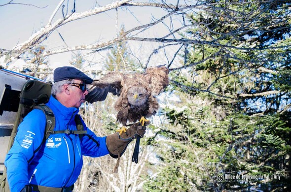 Festival Aigles à Ski