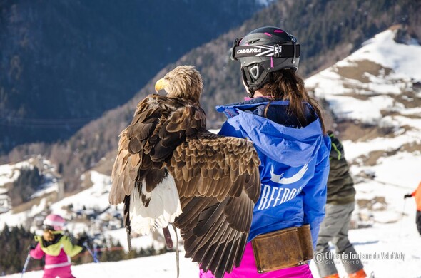 Festival Aigles à Ski à Notre-Dame-de-Bellecombe