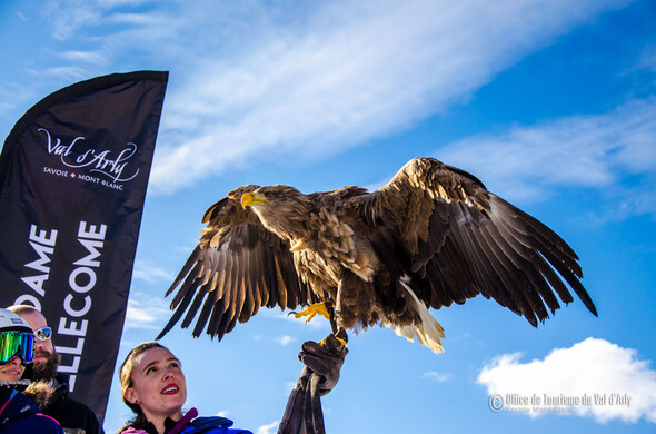 Festival Aigles à Ski à Notre-Dame-de-Bellecombe