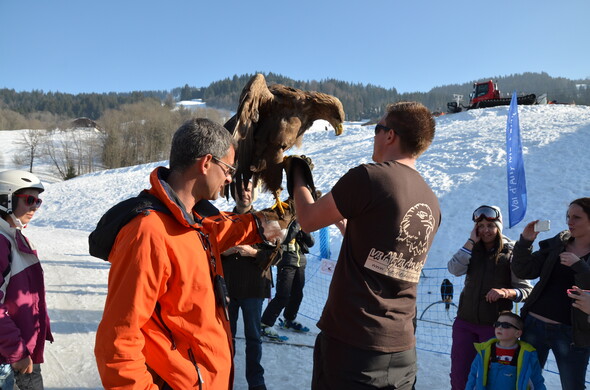 Festival Aigles à Ski