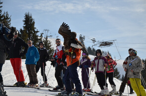 Festival Aigles à Ski à La Giettaz en Aravis