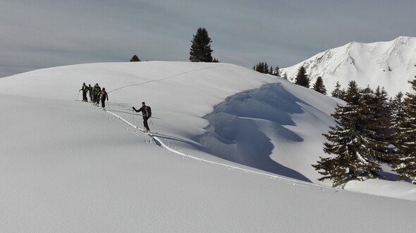 Suly Ski Trail