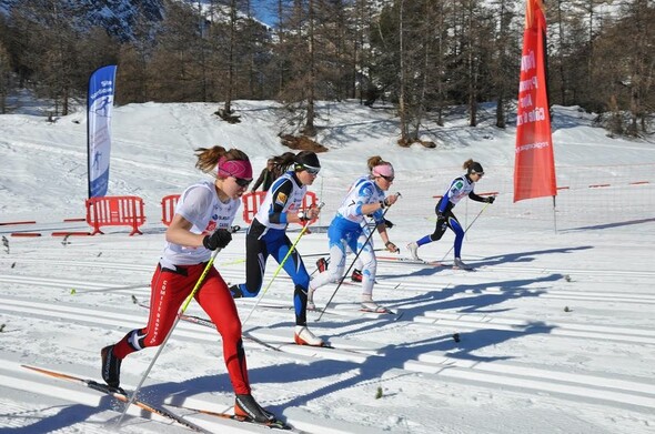 Nordic Skiercross