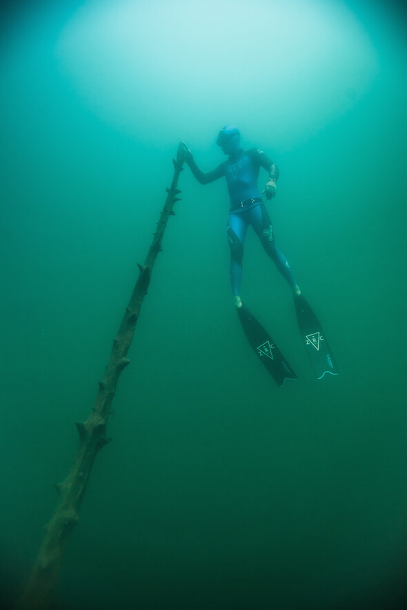 APNÉE EN EAU FROIDE