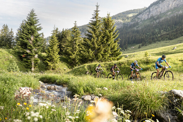 Alps bike festival