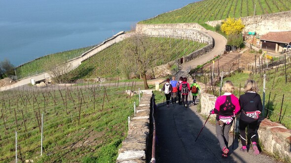 Tour du lac Léman en marche nordique