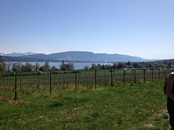 Tour du lac Léman en marche nordique