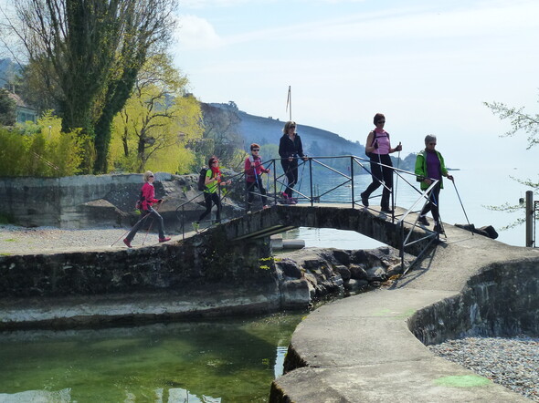 Tour du lac Léman en marche nordique