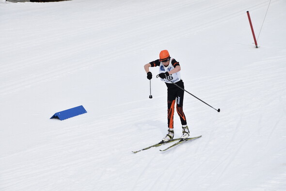 Nordic Skiercross