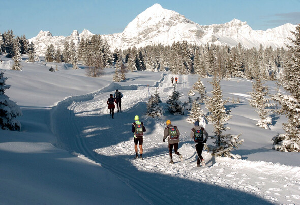 10e Trail de Noël