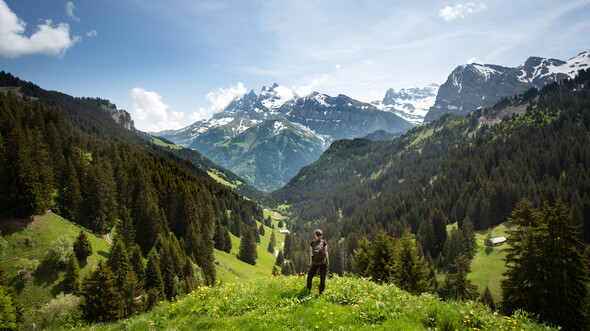 RÉGION DENTS DU MIDI