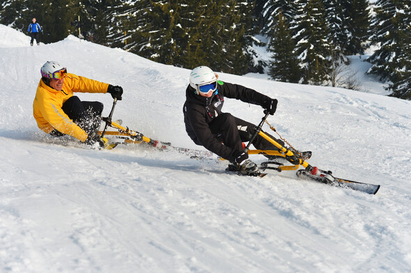 Coupe du monde de Skibob