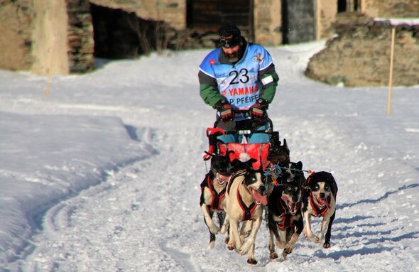 Lekkarod - course de traîneaux à chiens