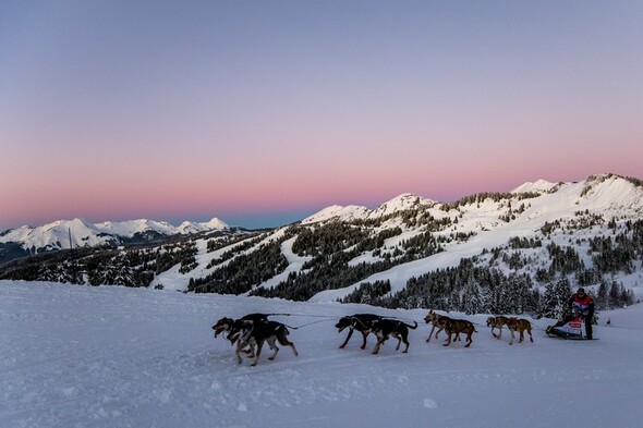 LA GRANDE ODYSSEE SAVOIE MONT-BLANC