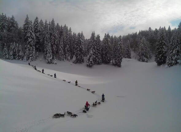 Raiddogs - Le Grand Bivouac