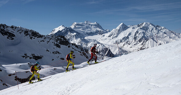 La Patrouille des glaciers - ANNULATION