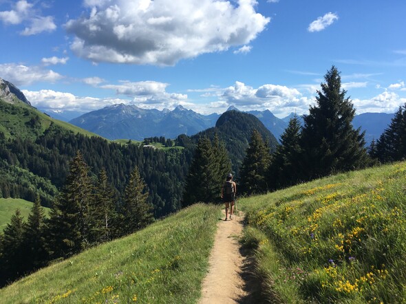 LA POINTE DE TALAMARCHE par Montremont