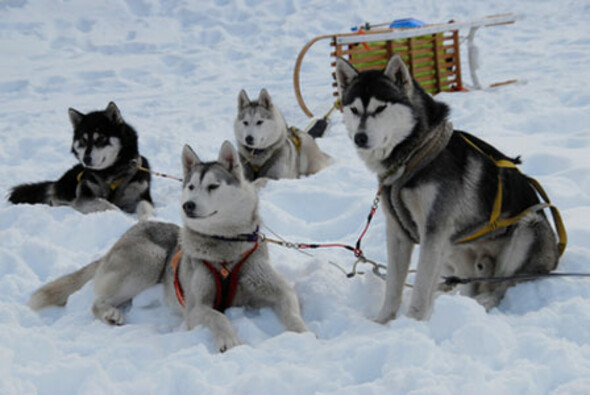 Les Brasses, Une destination de montagne et de traditions