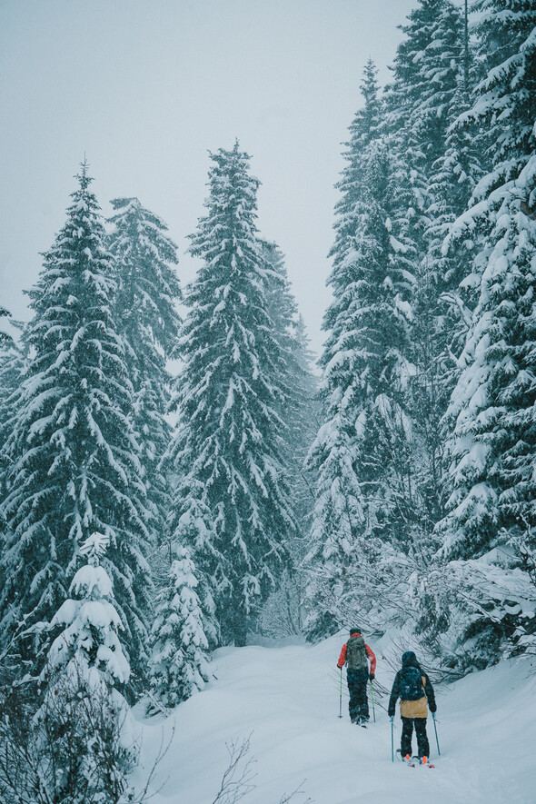 Avoriaz, La montagne 100% nature