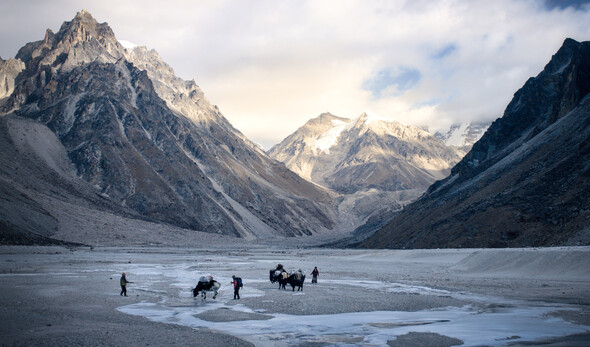 Chamonix Film Festival